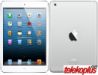 Apple iPad Mini 4G WiFi 64GB slika 1