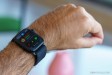 Apple Watch Series 9 45mm slika 16