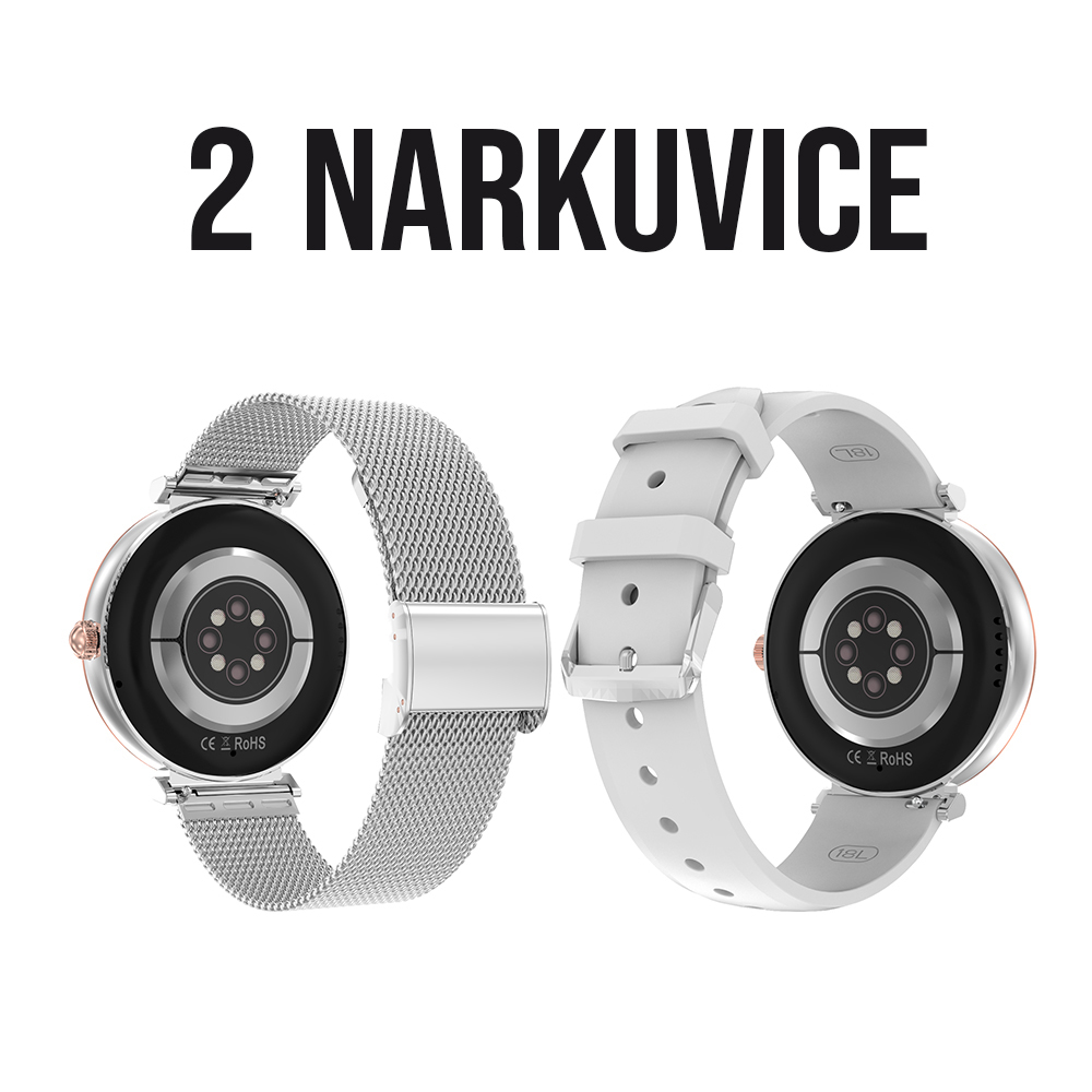 Pametni Sat Smart watch DT109 srebrni (silikonska i metalna narukvica) cena 12000 din slika