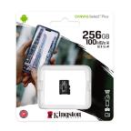 Memorijska kartica Kingston select plus Micro SD 256 GB Class 10 UHS U1 100MB/s slika 2