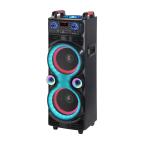 Zvucnik Bluetooth NDR-1100 100W 2*10 inca sa dva mikrofona crni cena 45000 din slika