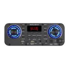 Zvucnik Bluetooth NDR-1100 100W 2*10 inca sa dva mikrofona crni slika 3