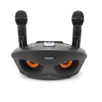 Zvucnik Bluetooth SD306 crni slika 3