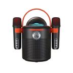 Zvucnik Bluetooth Y-11 sa 2 mikrofona crni cena 5000 din slika