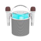 Zvucnik Bluetooth Y-9 sa 2 mikrofona beli cena 10000 din slika