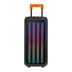 Zvucnik Bluetooth NDR-1098 40W 2*8 inca sa mikrofonom crni slika 2