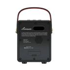 Bluetooth zvucnik Lonzuer Action W1004 crni slika 4