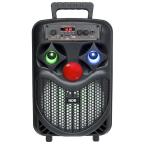 Bluetooth zvucnik NDR-P66 slika 4