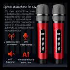 Bluetooth zvucnik sa mikrofonom YS201 crni slika 8