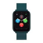 Pametni Sat Smart watch CANYON Wildberry SW-54, 1.7